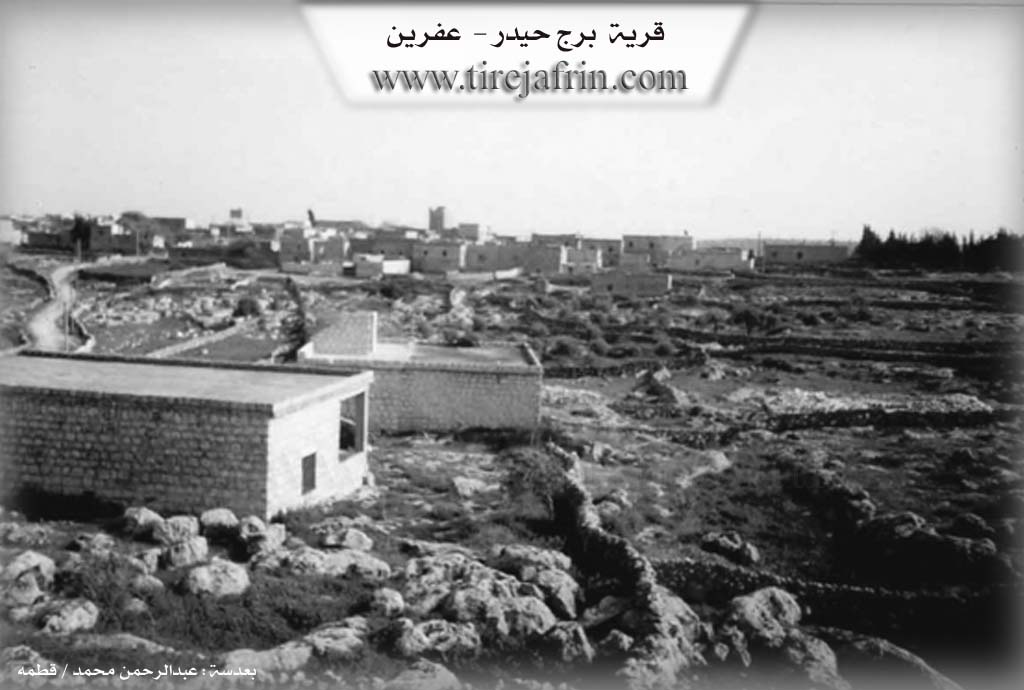 Photo of Birc Ĥêderê